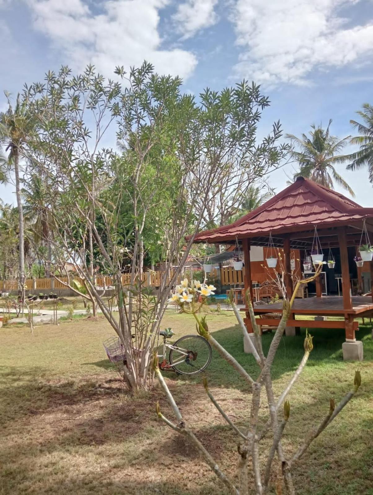 Hotel Blue Moon Meno à Gili Meno Extérieur photo