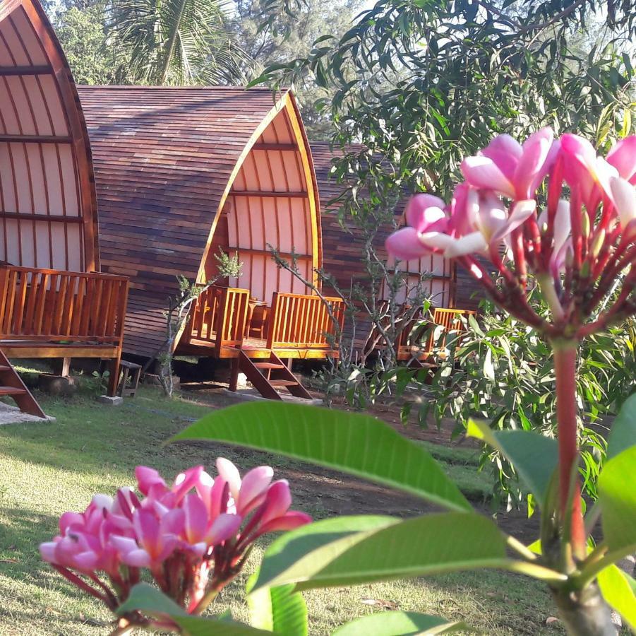 Hotel Blue Moon Meno à Gili Meno Extérieur photo